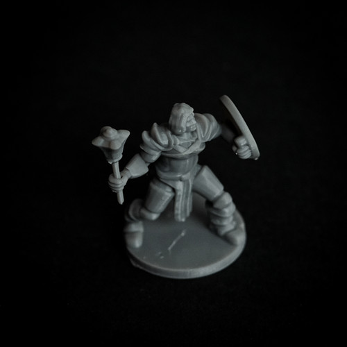 Water Genasi with Mace and Shield